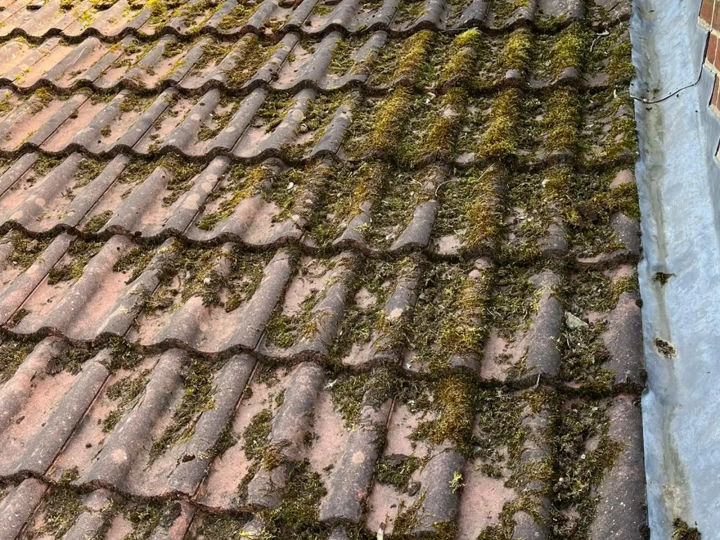 Roof Cleaning