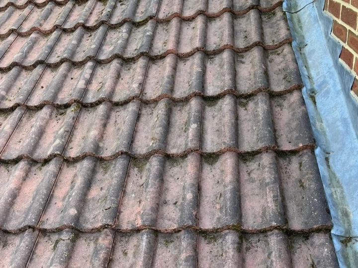 Roof Moss Removal Kendal